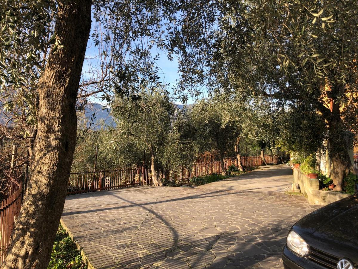 Appartamento Nonna Rosa Malcesine Esterno foto